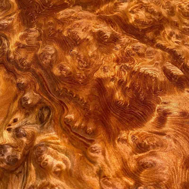 Odie's Universal Oil 9oz5